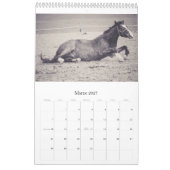 Paarden kalender... kalender (Mar 2027)