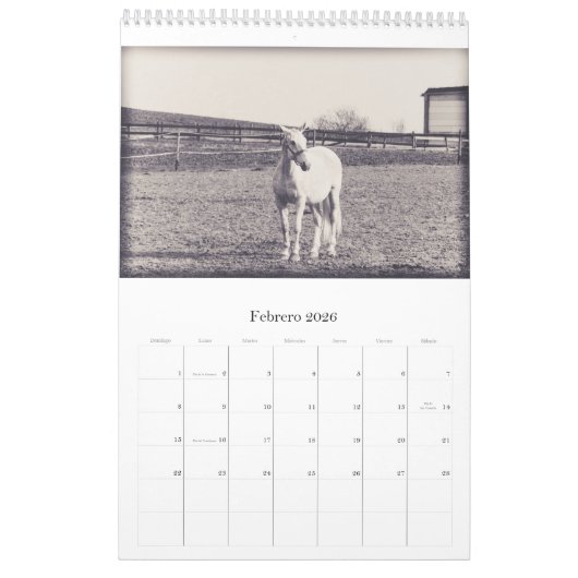 Paarden kalender... kalender (Feb 2026)