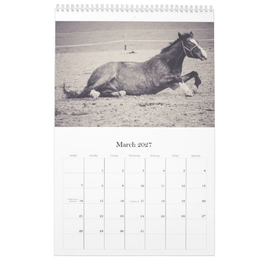 Paarden kalender... kalender (Mar 2027)