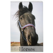 Paarden kalender... kalender (Hoes)
