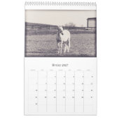 Paarden kalender... kalender (Feb 2027)