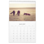 Paarden kalender... kalender (Jan 2027)