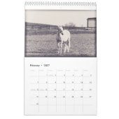 Paarden kalender... kalender (Feb 2027)