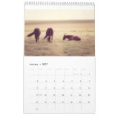 Paarden kalender... kalender (Jan 2027)