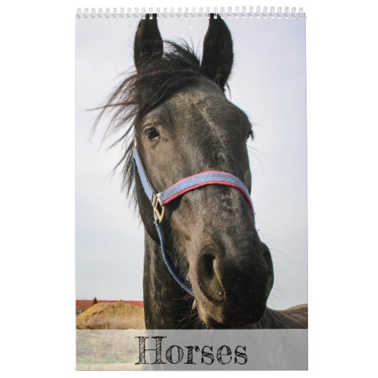 Paarden kalender... kalender (Hoes)