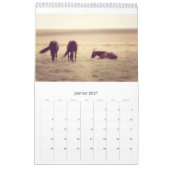 Paarden kalender... kalender (Jan 2027)