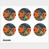 paarden kop ronde sticker (Vel)