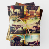 PAARDEN KUNSTSCHILDERIJEN, HOEFIJZERS PERKAMENT INPAKPAPIER VEL (In situ)