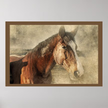 Paarden Kunstwerk Foto Poster