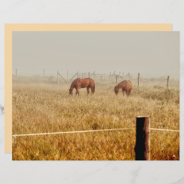 Paarden Land Boerderij Rustic Brown ontkoppeling (Voorkant / Achterkant)