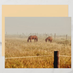 Paarden Land Boerderij Rustic Brown ontkoppeling
