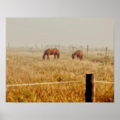 Paarden Land Boerderij Rustic Brown ontkoppeling Poster (Voorkant)