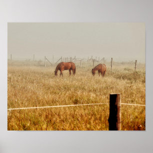 Paarden Land Boerderij Rustic Brown ontkoppeling Poster