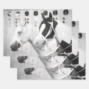 Paarden Land Roestzwart en Wit Western Inpakpapier Vel