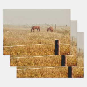 Paarden Land Rustic Brown ontkoppeling Inpakpapier Vel