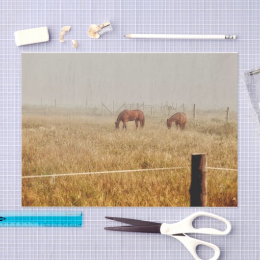 Paarden Land Rustic-ontkoppeling Tissuepapier (Craft)