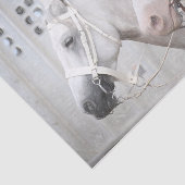 Paarden Land Rustisch White Brown Western Tissuepapier (Detail)