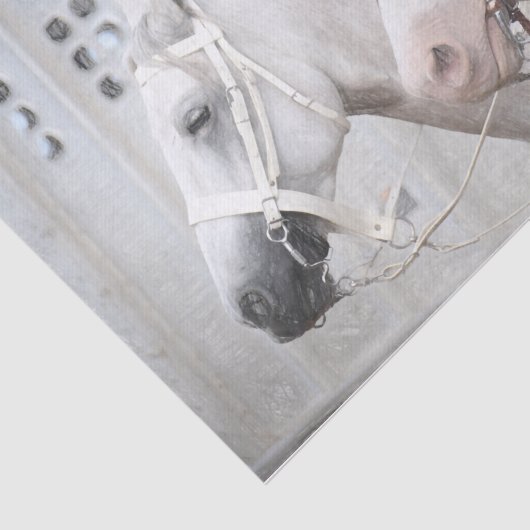 Paarden Land Rustisch White Brown Western Tissuepapier (Detail)