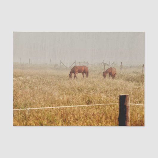 Paarden Landelijk Rustiek Decoupage Tissuepapier (Voorkant)