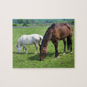 Paarden Legpuzzel
