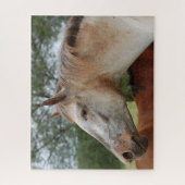 Paarden Legpuzzel (Verticaal)