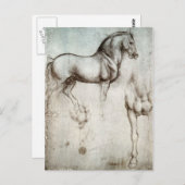 Paarden - Leonardo da Vinci Briefkaart (Voorkant / Achterkant)