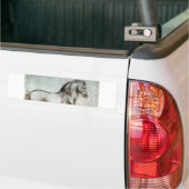 Paarden - Leonardo da Vinci Bumpersticker (Op Truck)