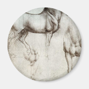 Paarden - Leonardo da Vinci Magneet
