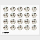 Paarden - Leonardo da Vinci Ronde Sticker (Vel)