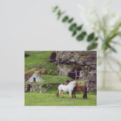 Paarden Liefde Groene Platteland Postcrossing Briefkaart (Staand voorkant)
