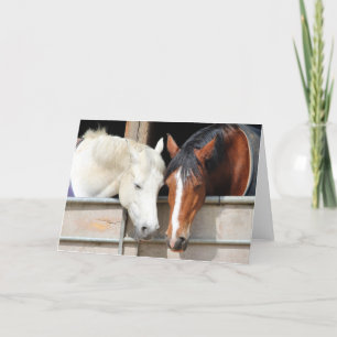 Paarden Liefhebben Kaart