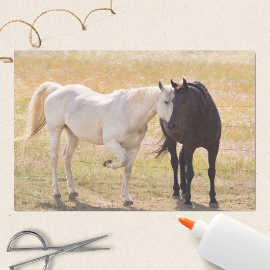 Paarden Liefhebben Tissuepapier