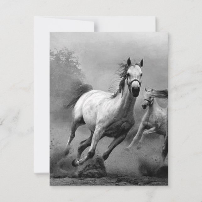 Paarden lopen (Voorkant)