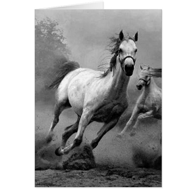 Paarden lopen (Voorkant)