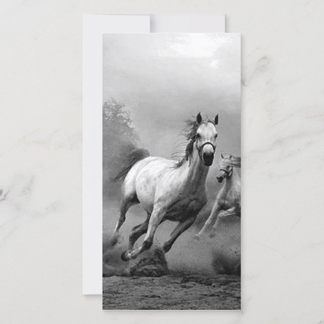 Paarden lopen (Voorkant)