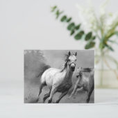 Paarden lopen briefkaart (Staand voorkant)