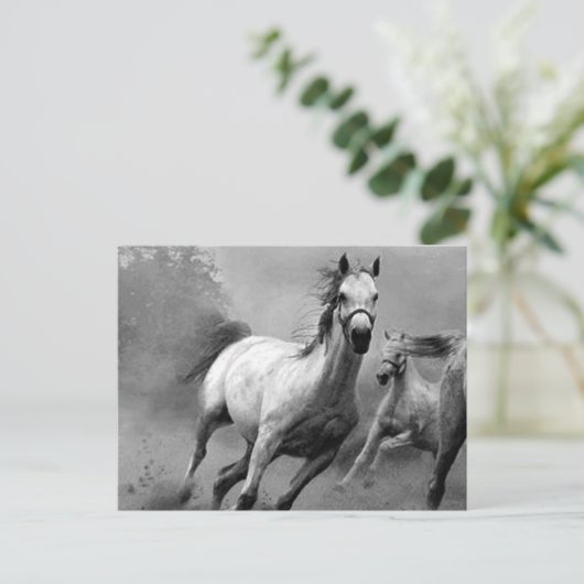 Paarden lopen briefkaart (Staand voorkant)
