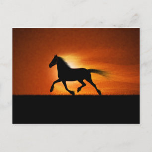 Paarden lopen briefkaart