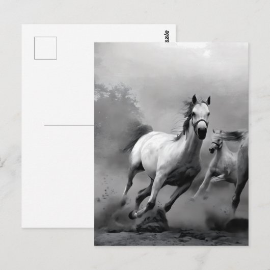 Paarden lopen briefkaart (Voorkant / Achterkant)
