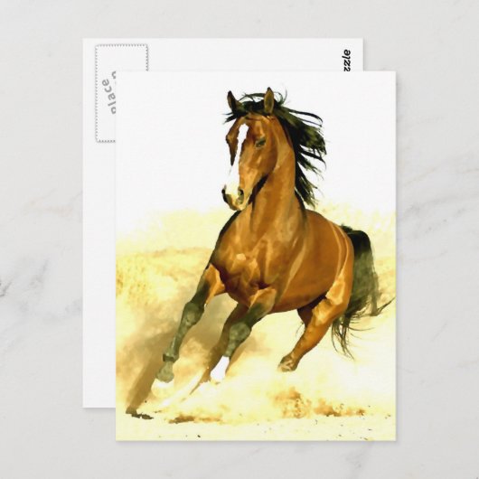 Paarden lopen briefkaart (Voorkant / Achterkant)