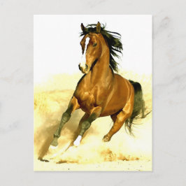 Paarden lopen briefkaart