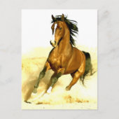 Paarden lopen briefkaart (Voorkant)