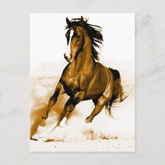Paarden lopen briefkaart (Voorkant)