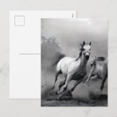 Paarden lopen feestdagenkaart (Voorkant / Achterkant)