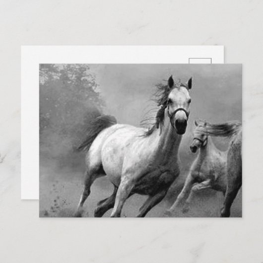 Paarden lopen feestdagenkaart (Voorkant / Achterkant)