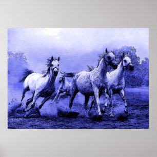 Paarden lopen in een blauw nachtkunstwerk poster