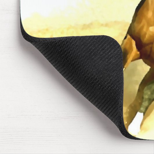 Paarden lopen muismat (Hoek)