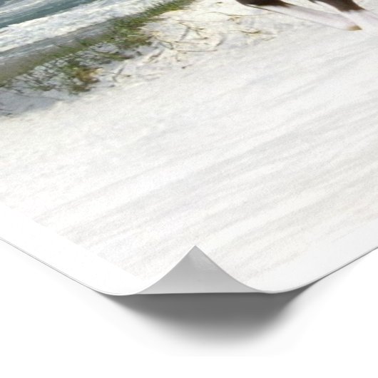 Paarden lopen op het Poster van de Kunst van de Be (Hoek)