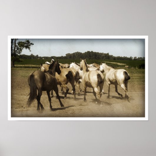 Paarden lopen poster (Voorkant)