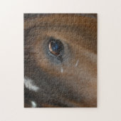 Paarden Love Closeup Legpuzzel (Verticaal)